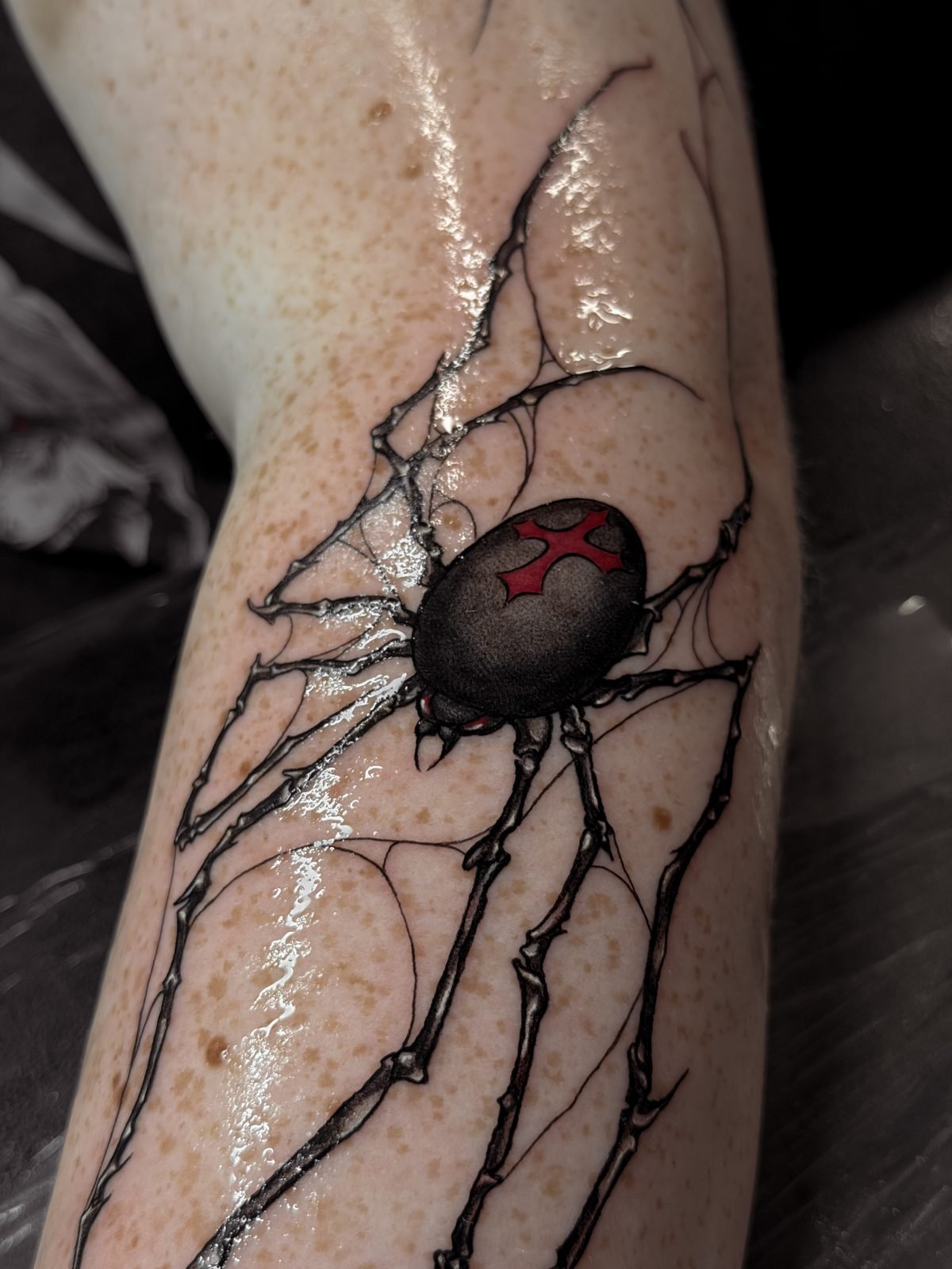 Tatuaje de araña con tela de araña, blackwork